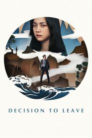 Decision to Leave (2022)